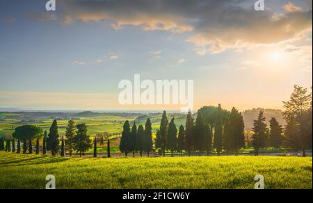 Paesaggio tramonto nella campagna della Maremma. Colline ondulate, cipressi strada e mare sullo sfondo. Casale Marittimo, Toscana, Italia, Europa Foto Stock