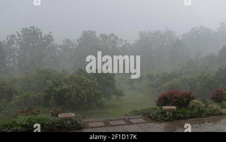 Piogge molto pesanti su un giardino privato in Australia. Vista oscurata dalla nebbia e dalla pioggia. Estate. Foto Stock