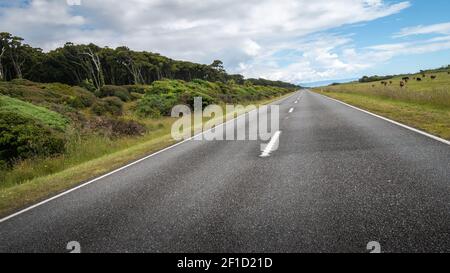 Strada che porta alla distanza (inclinata). Scatto effettuato durante la giornata di sole nella regione della costa occidentale della Nuova Zelanda Foto Stock