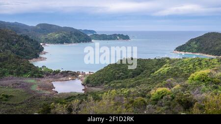 Costa tropicale con insenature e penisole, sparato nel Parco Nazionale Abel Tasman, Nuova Zelanda Foto Stock