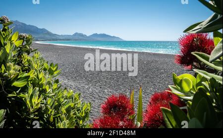 Spiaggia di ghiaia con acqua azzurra e cielo blu con montagne sullo sfondo, sparato a Kaikoura, Nuova Zelanda Foto Stock