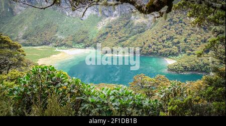 Bellissimo lago alpino turchese incorniciato da rami di albero e fogliame. Girato su Routeburn Track, Nuova Zelanda Foto Stock