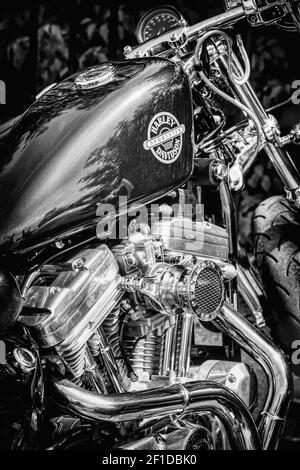 Harley Davidson Sportster. Bianco e nero Foto Stock