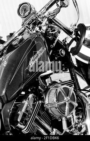 Motocicletta Harley Davidson. Bianco e nero Foto Stock