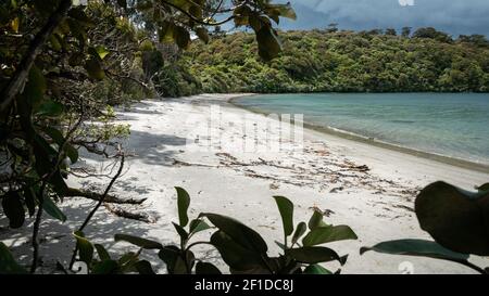 Spiaggia remota con sabbia bianca parzialmente incorniciata da rami di alberi. Girato su Stewart Island (Rakiura), Nuova Zelanda Foto Stock