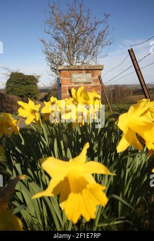 Whiteleys Farm, Maybole, South Ayrshire, Scozia, Regno Unito. L'hjas fattoria ora è stato rilevato da una carità conosciuta come Whiteleys Retreat che fornisce brevi pause terapeutiche gratuite per i bambini, i giovani e le loro famiglie con cancro e malattie che alterano la vita. L'immagine mostra l'azienda agricola in primavera Foto Stock