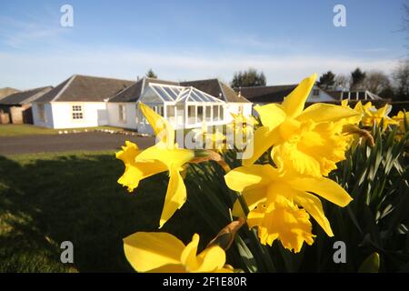 Whiteleys Farm, Maybole, South Ayrshire, Scozia, Regno Unito. L'hjas fattoria ora è stato rilevato da una carità conosciuta come Whiteleys Retreat che fornisce brevi pause terapeutiche gratuite per i bambini, i giovani e le loro famiglie con cancro e malattie che alterano la vita. L'immagine mostra l'azienda agricola in primavera Foto Stock