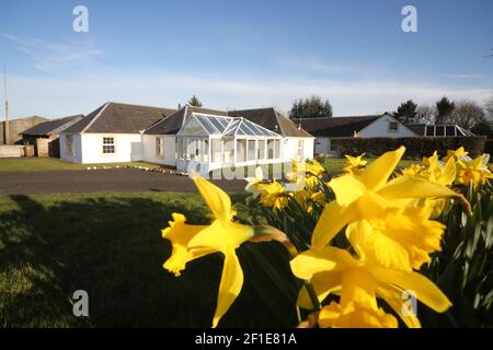 Whiteleys Farm, Maybole, South Ayrshire, Scozia, Regno Unito. L'hjas fattoria ora è stato rilevato da una carità conosciuta come Whiteleys Retreat che fornisce brevi pause terapeutiche gratuite per i bambini, i giovani e le loro famiglie con cancro e malattie che alterano la vita. L'immagine mostra l'azienda agricola in primavera Foto Stock