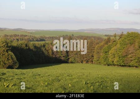 Whiteleys Farm, Maybole, South Ayrshire, Scozia, Regno Unito. L'hjas fattoria ora è stato rilevato da una carità conosciuta come Whiteleys Retreat che fornisce brevi pause terapeutiche gratuite per i bambini, i giovani e le loro famiglie con cancro e malattie che alterano la vita. L'immagine mostra l'azienda agricola in primavera Foto Stock