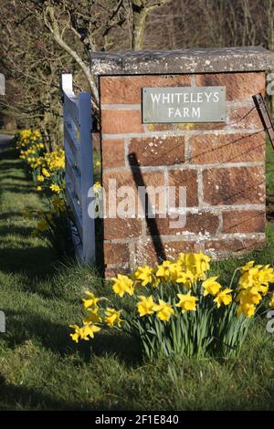 Whiteleys Farm, Maybole, South Ayrshire, Scozia, Regno Unito. L'hjas fattoria ora è stato rilevato da una carità conosciuta come Whiteleys Retreat che fornisce brevi pause terapeutiche gratuite per i bambini, i giovani e le loro famiglie con cancro e malattie che alterano la vita. L'immagine mostra l'azienda agricola in primavera Foto Stock