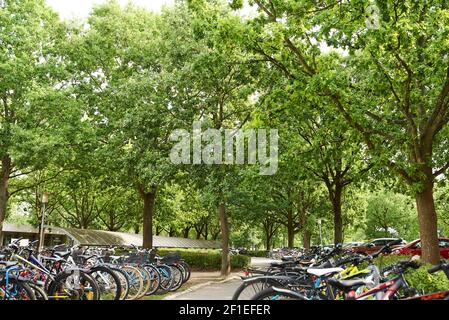 Parcheggio per biciclette in una scuola Foto Stock