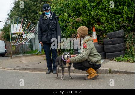 Sipson, Regno Unito. 8 Marzo 2021. Gli agenti dell'Enforcement del National Eviction Team sono arrivati al sito di Grow Heathrow questa mattina e hanno sfracinato circa 15 persone che vi vivono dal 2010. Gli attivisti hanno informato che un funzionario dell'alta Corte non era in loco e che la rete avrebbe violato la direzione pratica del Covid 55C, poiché i residenti anziani e vulnerabili vivevano sul sito. I bailiffs hanno dato ai squadratori nessun preavviso e soltanto due ore affinchè i squadratori rimuovano alcuni dei loro effetti personali. Credit: Maureen McLean/Alamy Live News Foto Stock