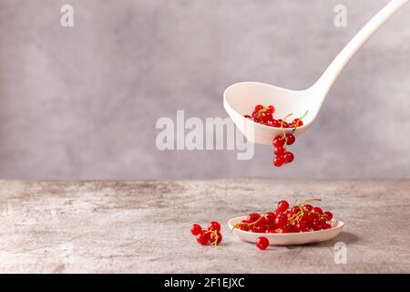 Le bacche di ribes rosso mature sono messe con un cucchiaio su un piatto. Concetto sul tema della raccolta e della lavorazione del raccolto. Primo piano, sfondo grigio, sele Foto Stock
