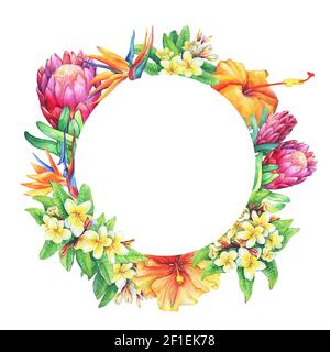 Cornice rotonda con rami viola protea, plumeria, strelitzia e fiori tropicali ibisco. Pittura ad acquerello disegnata a mano su sfondo bianco. Foto Stock