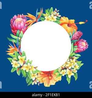 Cornice rotonda con rami viola protea, plumeria, strelitzia e fiori tropicali ibisco. Pittura ad acquerello disegnata a mano su sfondo blu. Foto Stock
