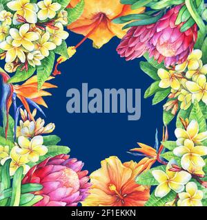 Telaio quadrato rami viola protea, plumeria, strelitzia e fiori tropicali ibisco. Pittura ad acquerello disegnata a mano su sfondo blu. Foto Stock