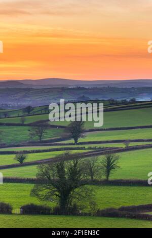 Tramonto dei campi, Berry Pomeroy Village in Devon, Inghilterra, Europa Foto Stock