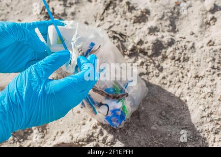 Le mani in guanti di gomma protettiva sollevano e rimuovono i detriti sulla spiaggia da vicino.