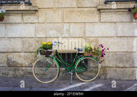 Bicicletta verde con fiori sul cesto appoggiato su a. parete Foto Stock