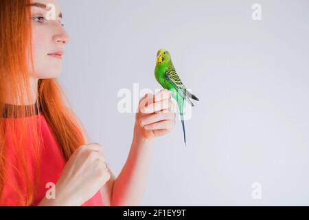 La bella donna ammira i suoi bellissimi pappagalli Foto Stock