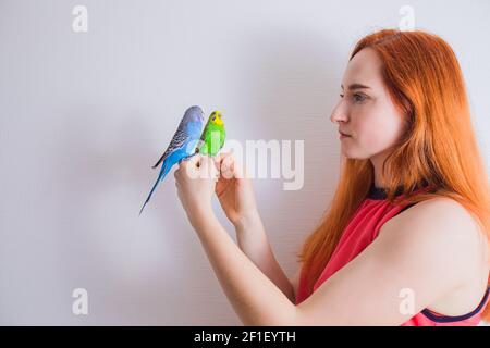 La bella donna ammira i suoi bellissimi pappagalli Foto Stock