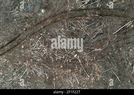 Vista aerea del paesaggio di deforestazione, tronchi di alberi e ceppi sul terreno da drone pov, sfondo danni ambientali Foto Stock