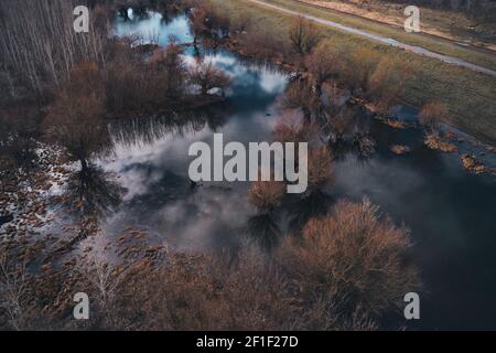 Area boscosa alluvionale dal drone pov nel pomeriggio d'inverno Foto Stock