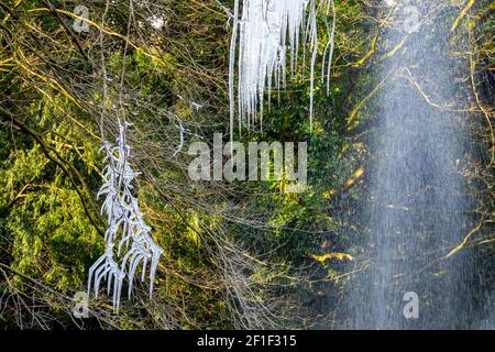 Vista di icicles in rami di alberi causati da gocce d'acqua da una fontana ornamentale congelamento in tempo freddo. Foto Stock
