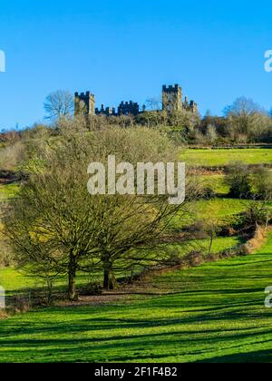 Riber Castello una casa di campagna del 19 ° secolo di grado 2 elencati Costruito da John Smedley nel 1862 su una collina che si affaccia Matlock Derbyshire Peak District Inghilterra Foto Stock