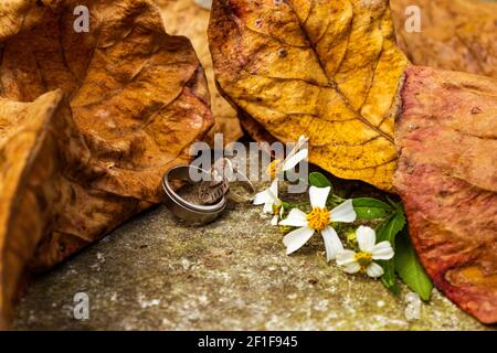 Due anelli d'argento sul terreno accanto ai fiori di erba di Bidens, uno degli anelli ha un cuore intagliato su di esso Foto Stock