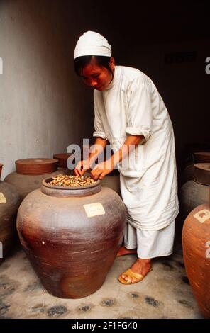 Erbe secche crude per la produzione di farmaci a base di erbe, ho Chi Minh City, Vietnam, giugno 1980 Foto Stock