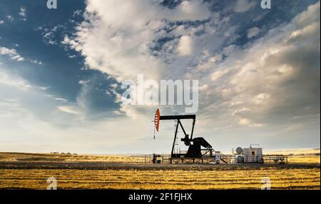 Un martinetto a pompa di petrolio e gas che lavora sulle praterie dell'Alberta producendo risorse naturali per l'economia canadese. Foto Stock