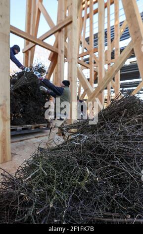 08 marzo 2021, Sassonia-Anhalt, Bad Dürrenberg: I lavoratori accatastano i fasci di spazzola di spina nera in una sezione della nuova traversa presso la stazione di classificazione. Il completamento è previsto per giugno. La sezione lunga 120 metri della struttura lunga 636 metri era in fase di riparazione e ora è in fase di ricostruzione per il 2023 state Garden Show. In totale, la ristrutturazione dell'impianto di salatura più lungo in continuo e ancora conservato in Germania costa circa 2.9 milioni di euro. Il parco termale presso i lavori di laurea costituisce il cuore dei circa 15 ettari di state Garden Show Grounds. Foto: Jan Woitas/dpa-Zentralbild/dpa Foto Stock