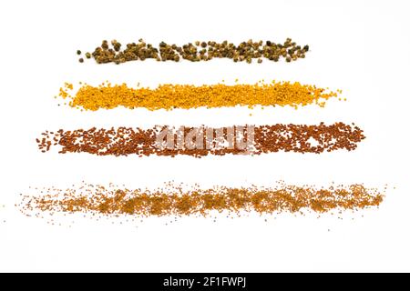 Semi sparsi su un tavolo bianco dalla parte superiore alla parte inferiore del telaio. Semi di micro verde di barbabietola, senape, amaranto, lattuga. Foto Stock
