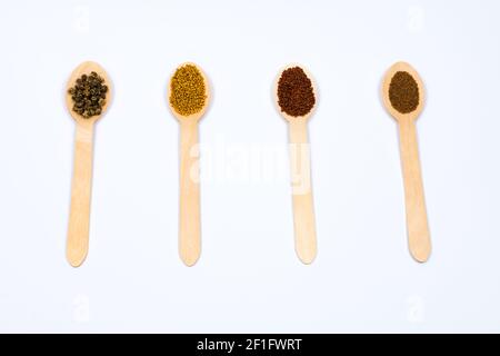 Vari semi di spezie in cucchiai di legno su sfondo bianco. Semi di barbabietola, senape, lattuga, rucola, su fondo bianco. Luogo per un'iscrizione Foto Stock