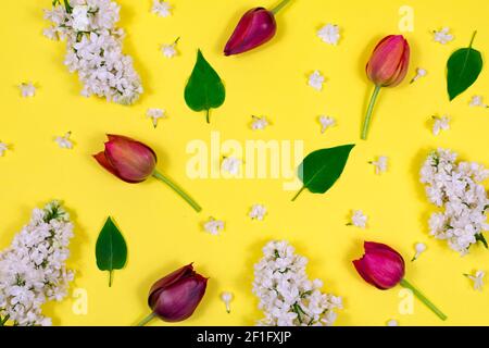 Tulipani rossi, lilla bianca e foglie verdi su sfondo giallo. Vista dall'alto. Vuoto per una cartolina. Festa della mamma, San Valentino, compleanno Foto Stock