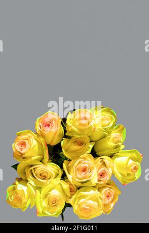 Bouquet di rose gialle su sfondo grigio, cornice verticale, spazio copia. Biglietto d'auguri per il giorno della madre, il compleanno, il giorno del matrimonio Foto Stock