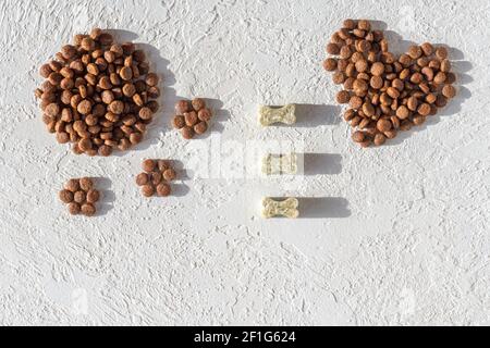 Cibo secco per cani e gatti a forma di cuore e a forma di traccia e vitamine su uno sfondo bianco intonaco, copia spazio, vista dall'alto. Healt Foto Stock