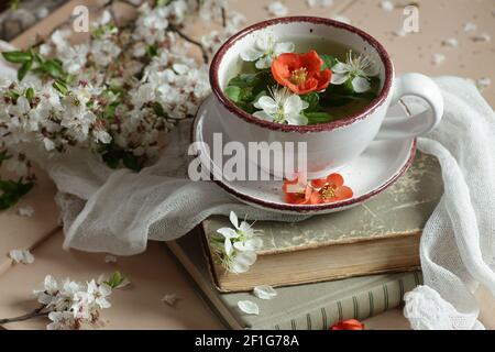 Tè alla menta floreale primaverile con boccioli di fiori di mela e mela cotogna, composizione retrò d'annata e vita still con libri e reggiseno in fiore Foto Stock