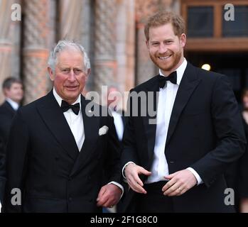 Londra, Regno Unito, 4 aprile 2019 il principe Carlo e il principe Harry partecipano alla prima mondiale del nostro pianeta al Natural History Museum di Londra. Credito: Dou Foto Stock