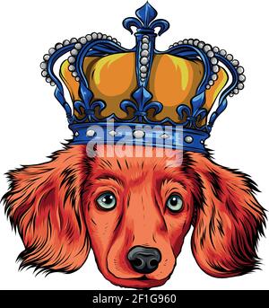 Testa del vettore Re del cane su sfondo bianco Illustrazione Vettoriale