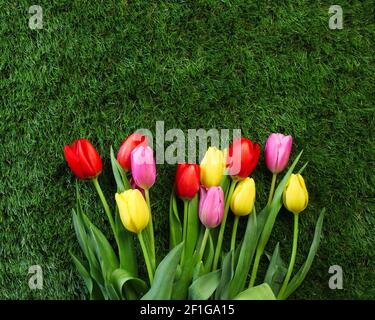 Bouquet primaverile di tulipani colorati su erba verde. Foto Stock