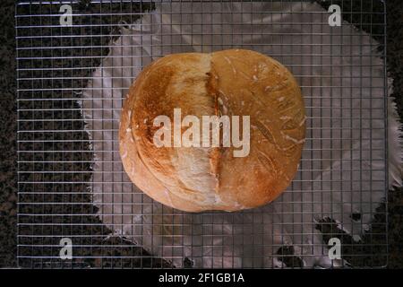 Pane di pasta frolla croccante, cotto, riposato su griglia di raffreddamento, pronto a mangiare. Fermentazione fatta in casa, a mano, naturale Foto Stock