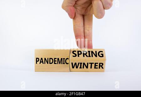 Simbolo pandemico di primavera e inverno. Uomo d'affari trasforma i cubi di legno e cambia le parole 'Pandemic Winter' in 'Pandemic Spring'. Splendido sfondo bianco Foto Stock