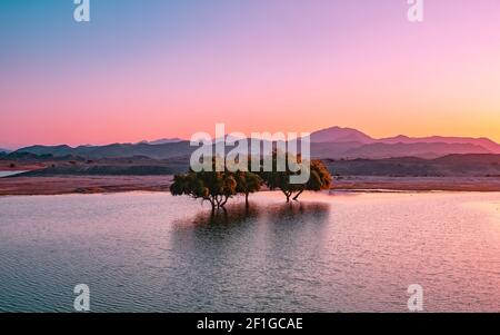 Un piccolo stagno con riflessi di alberi negli Emirati Arabi Uniti Foto Stock