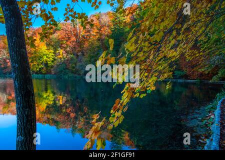 Bellissimo paesaggio autunnale nel Parco Plitvice Jezera, Croazia Foto Stock