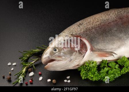 Pesce rosso salmone fresco crudo con spezie, pepe, rosmarino su fondo scuro. Layout creativo fatto di pesce. Spazio per il testo. Foto Stock