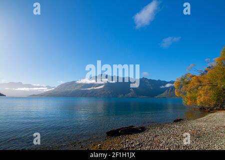 Wilson Bay vicino a Queenstown, South Island New Zealand, la vista del lago Wakatipu e Walter Peak Foto Stock