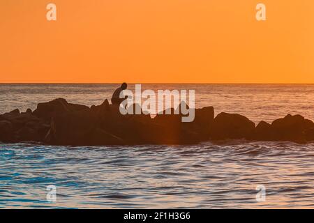 La silhouette di un uomo solitario seduto in meditazione le rocce di un frangiflutti vicino alla costa del mare contro il tramonto arancione del cielo e dell'orizzonte Foto Stock