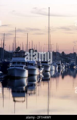 Barche in marina all'alba, Marina del Rey, CA Foto Stock